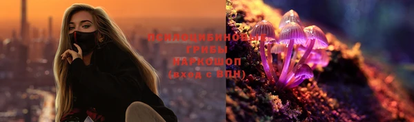 соль ск Алексин
