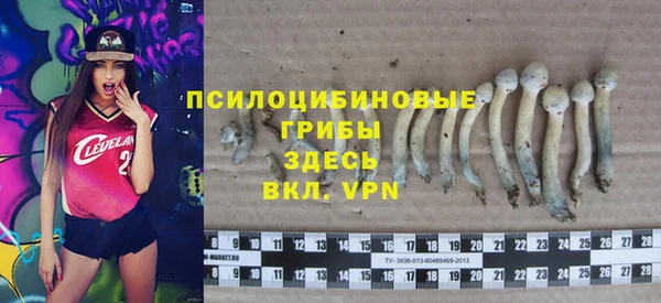 прущие крисы Алзамай